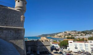 Compare Insight Vacations vs Trafalgar