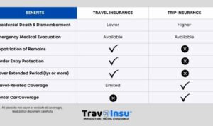 Travel Smarts 101: Travel Insurance VS Trip Insurance - TravInsu