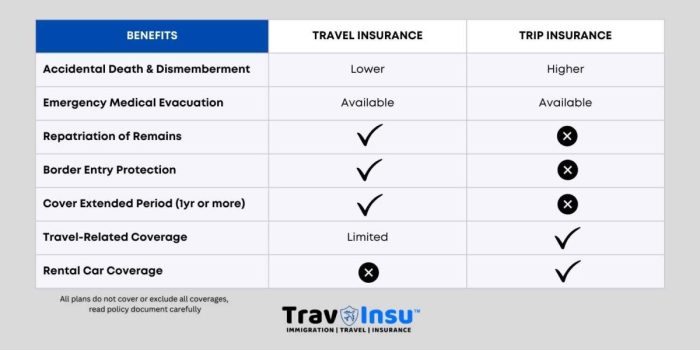 Travel Smarts 101: Travel Insurance VS Trip Insurance - TravInsu