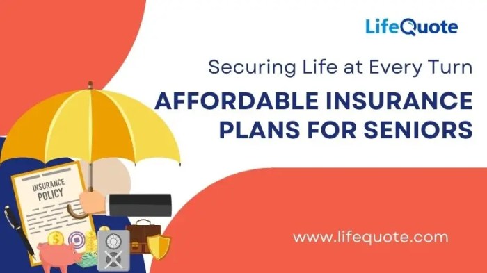 Securing Life at Every Turn: Affordable Insurance Plans for Seniors